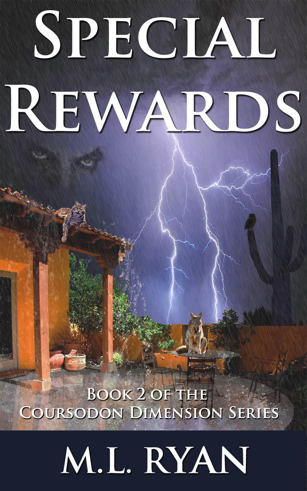 Special Rewards 1000X1600 Kindle