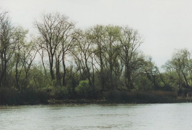 delta legend Delta River Image