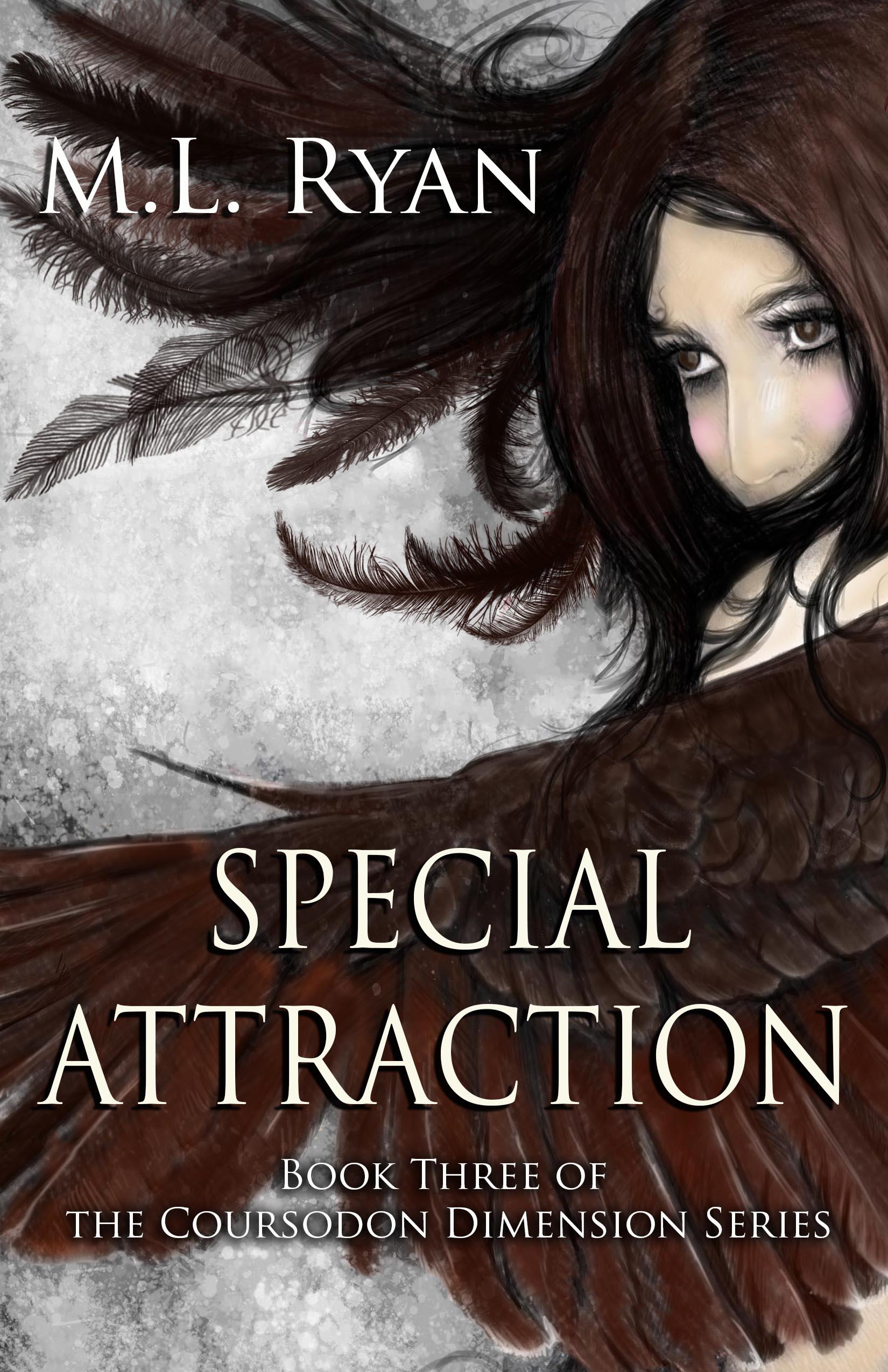 Special Attraction cover Kindle
