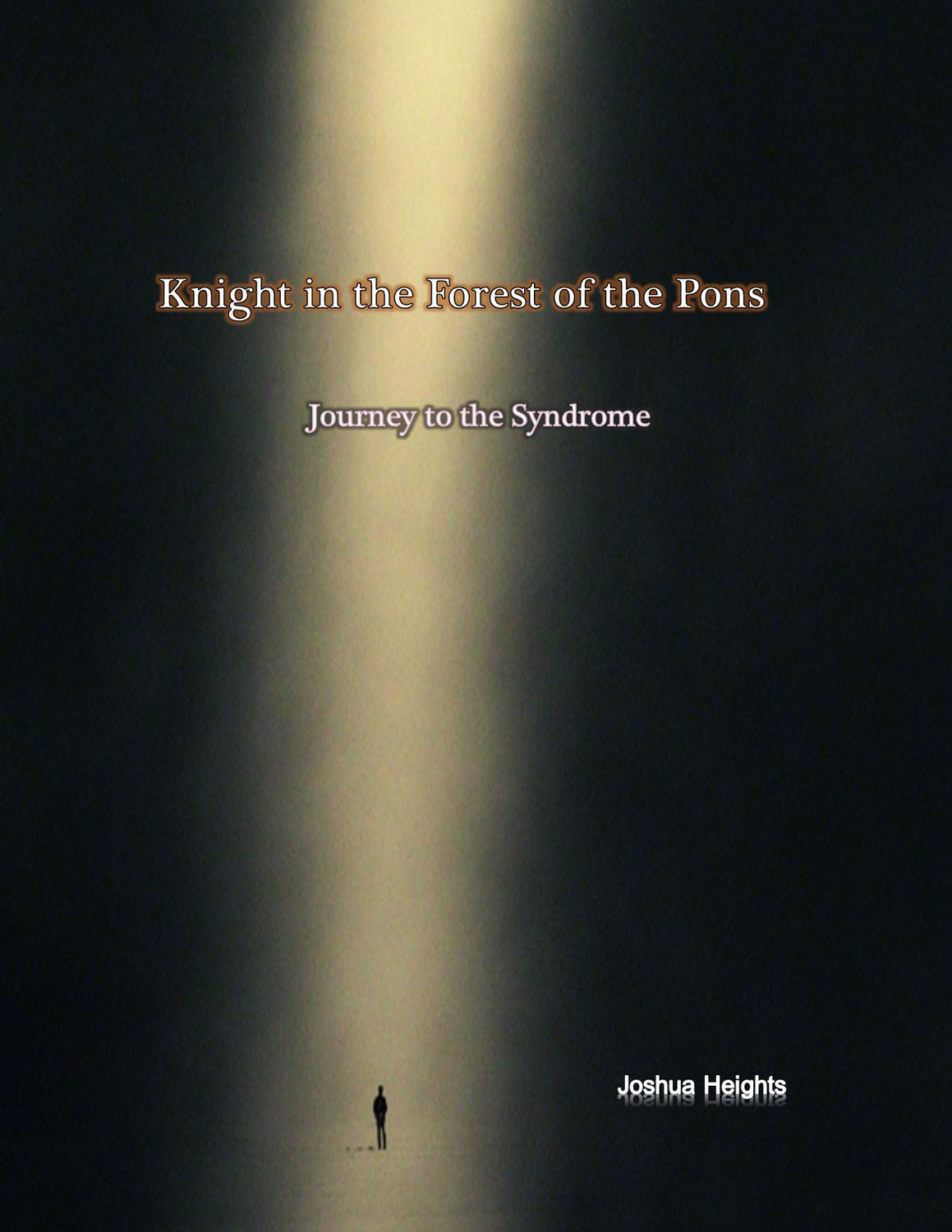 Knight in the Forest of the Pons Book Cover