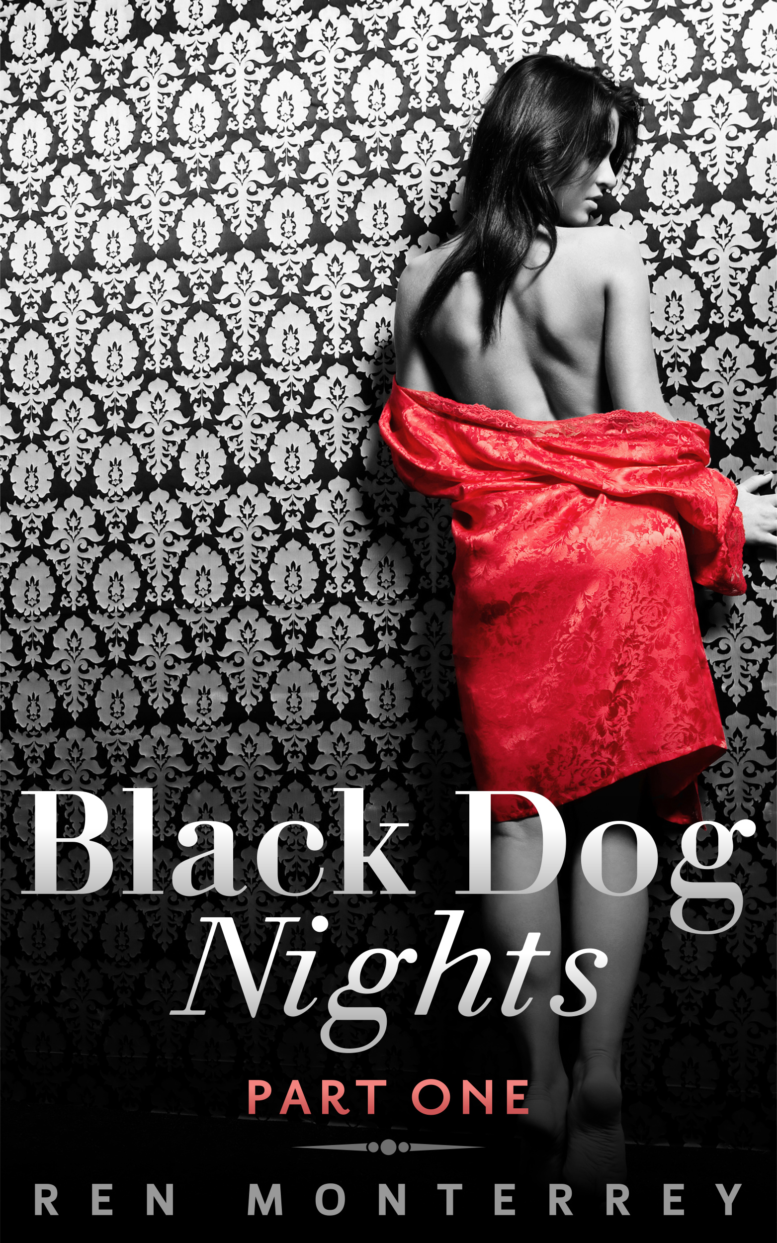 Black Dog Nights One Cover