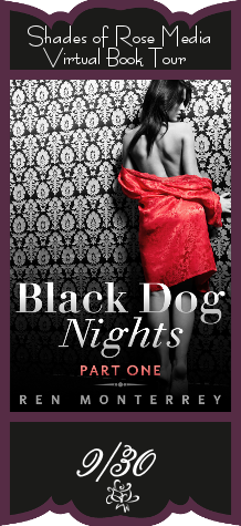 Black Dog Nights VBT Banner