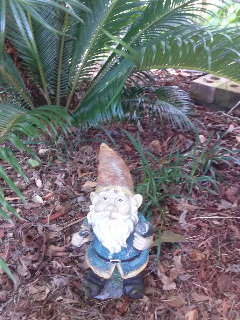 garden gnome and quig 012