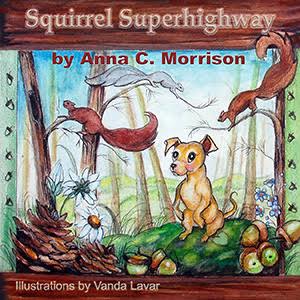 Squirrel Superhighway cover