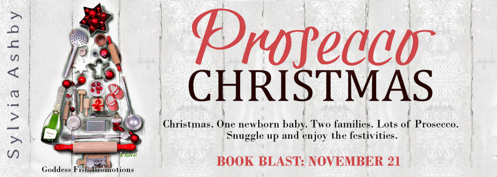 Christmas Pros banner