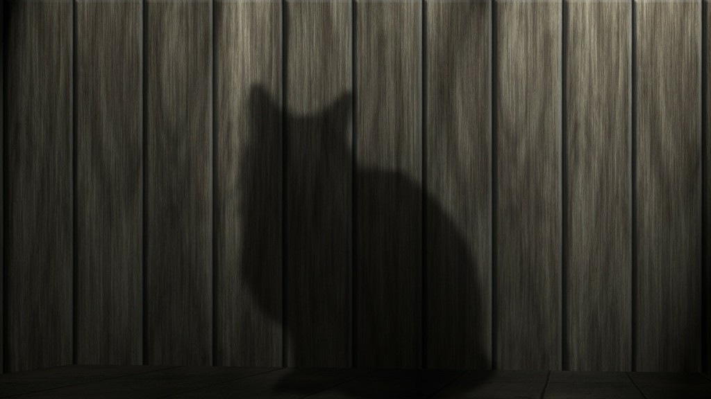 cat shadow