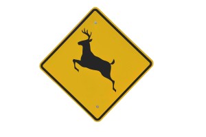 deer-crossing-2079620_1920